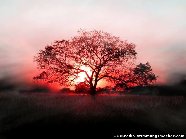 Der Baum